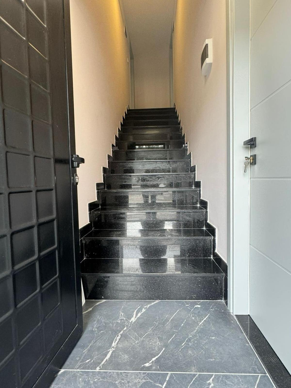 Estel Tirana